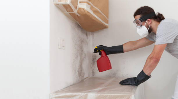 Professional Black Mold Removal technician working in Medinah, IL