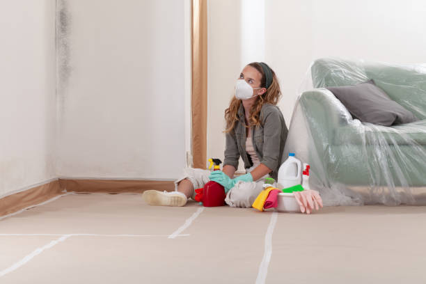 Reliable Black Mold Removal contractor in Medinah, IL by WQB Mold Removal